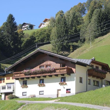 Appartment Roswitha Wagrain Bagian luar foto