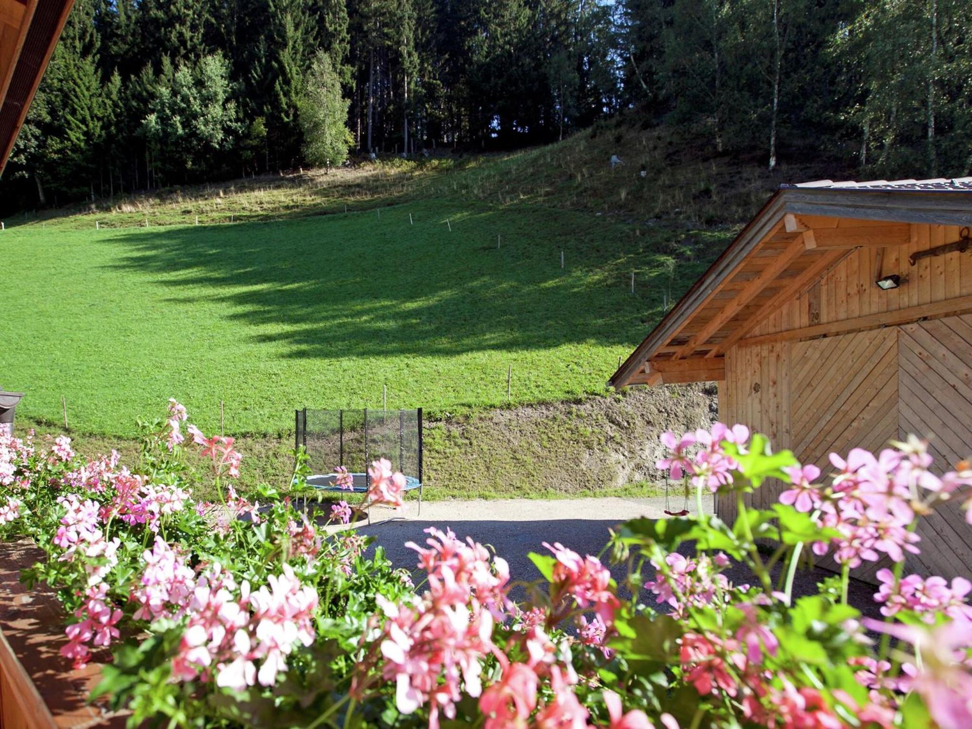 Appartment Roswitha Wagrain Bagian luar foto